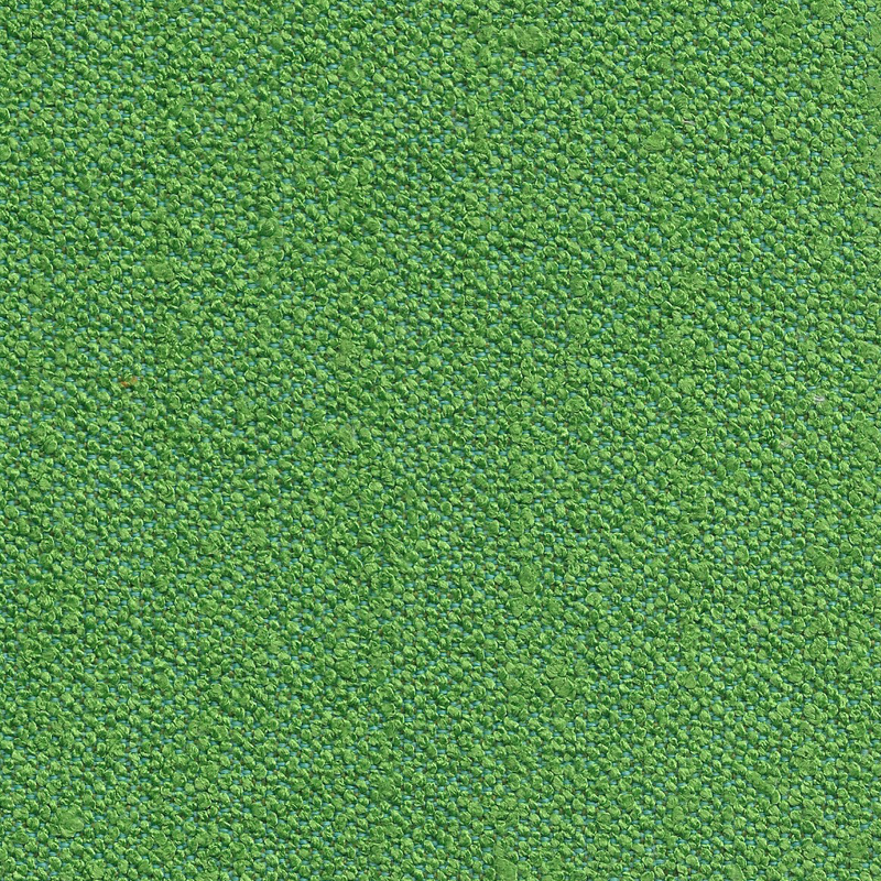 LASCAR SHAMROCK